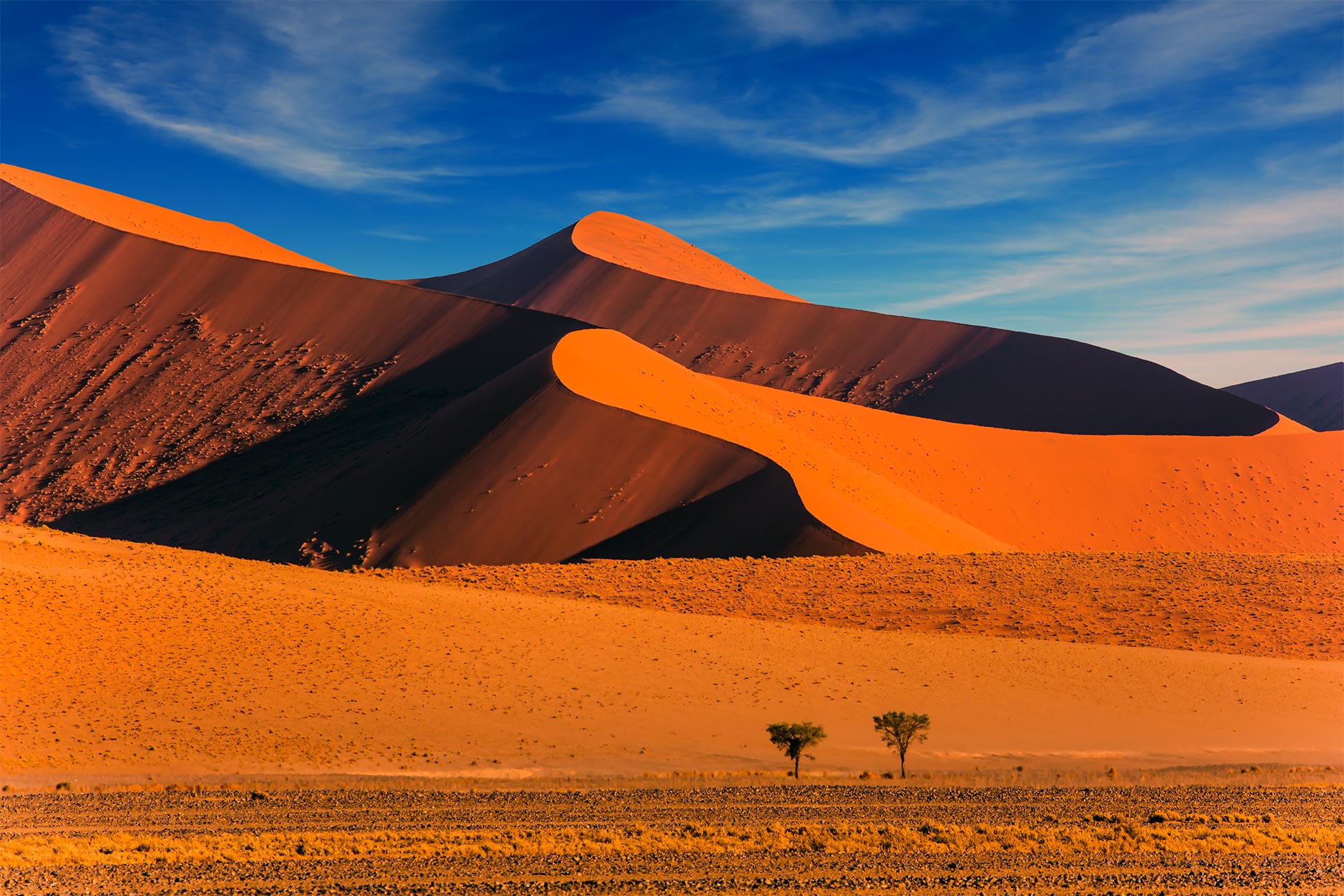 Circuit de grup - Experience Namibia, 14 zile - februarie 2027