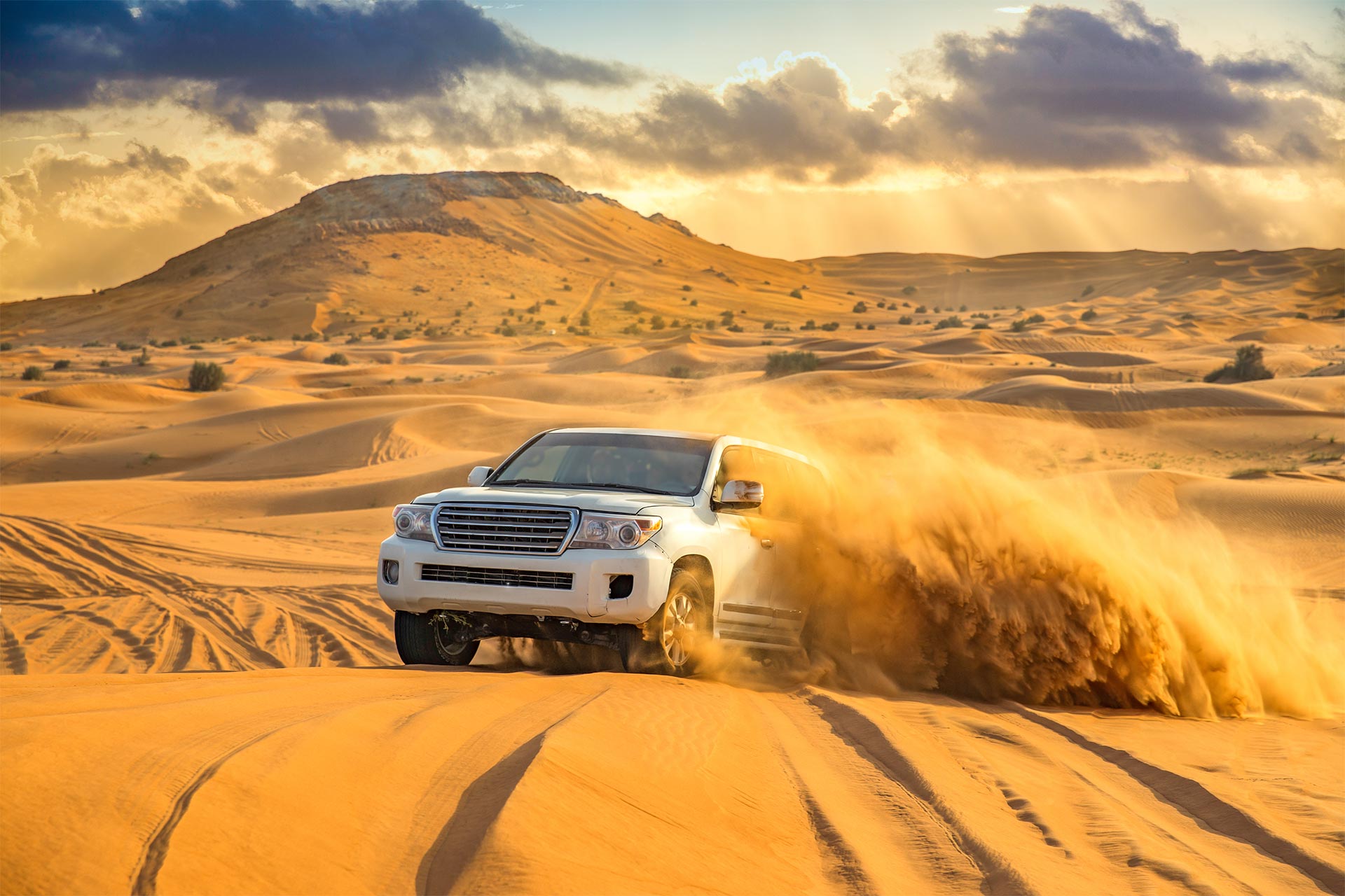 Best of Oman & EAU