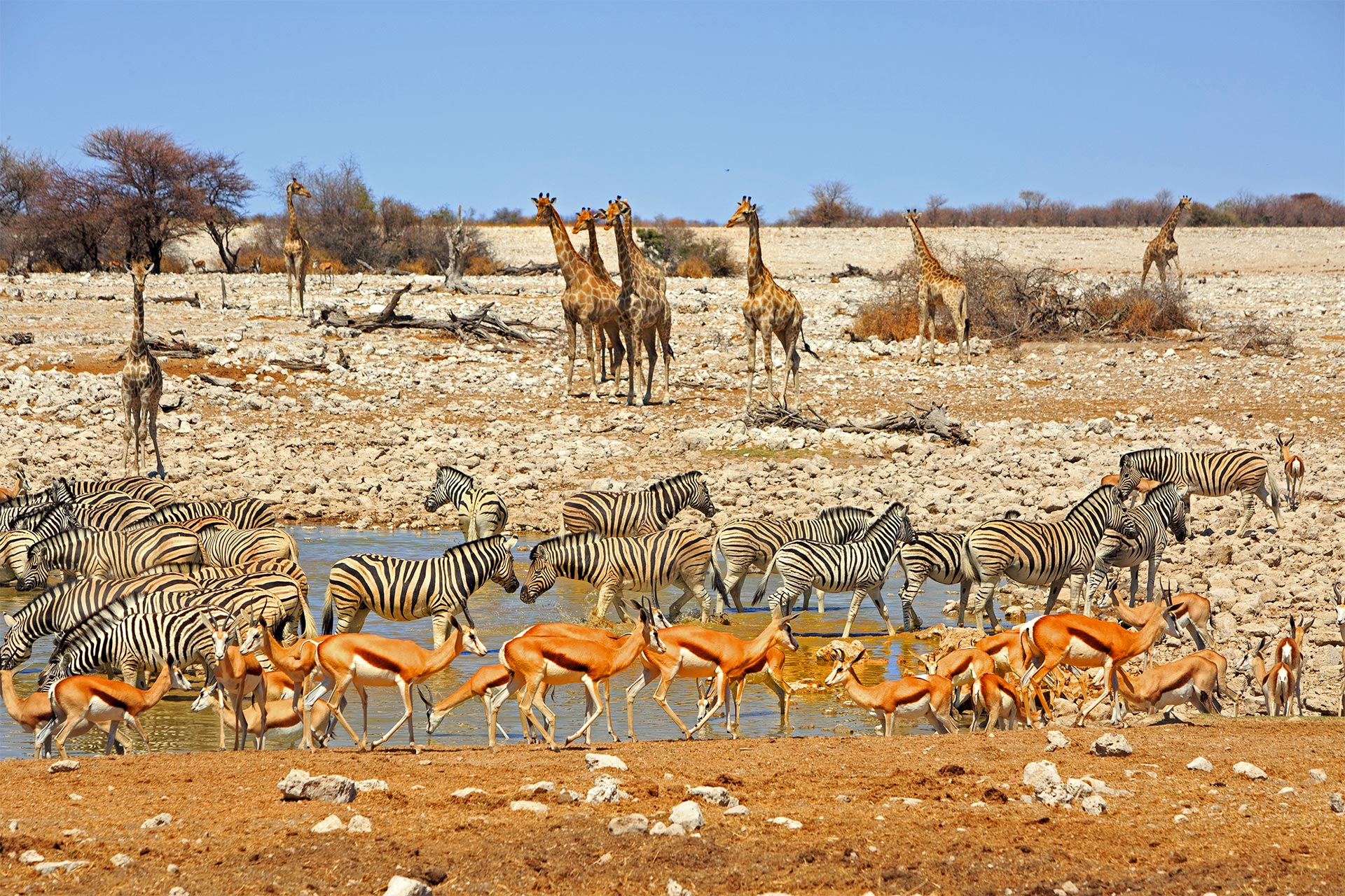 Circuit de grup - Experience Namibia, 15 zile - noiembrie 2026 - cu Monica Simion