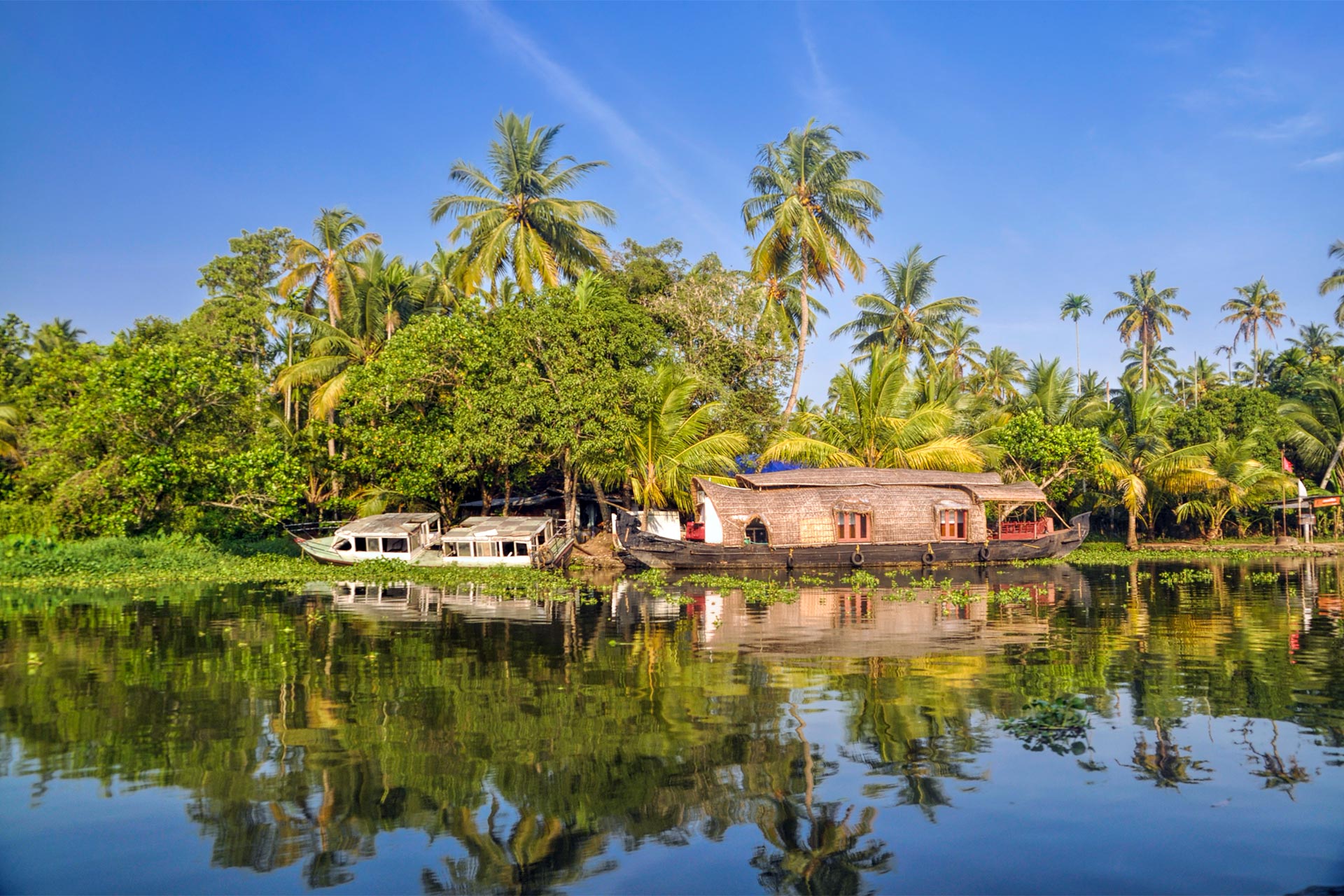 Share a trip - Taramul zeilor, Kerala, India, octombrie 2026