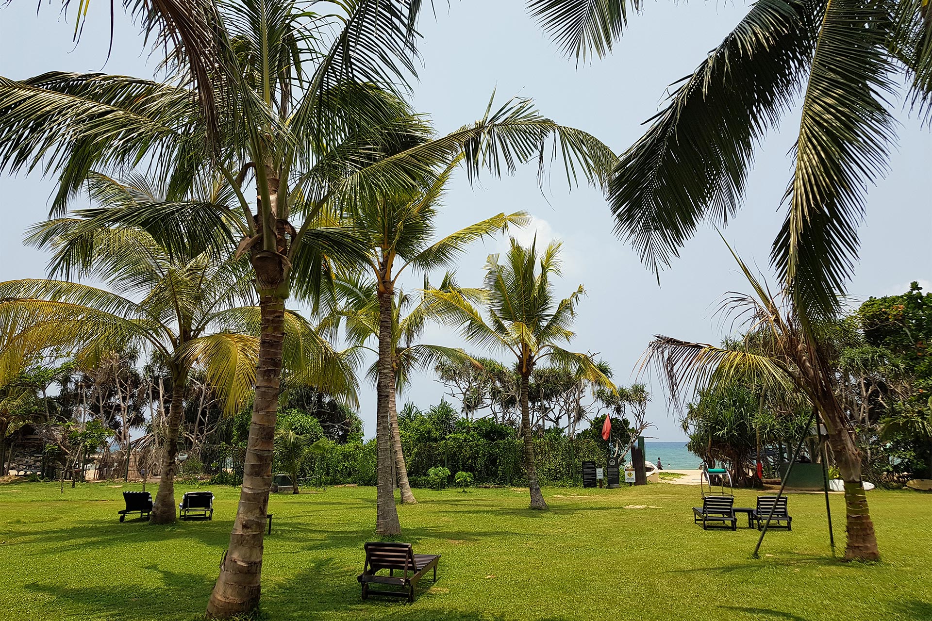 Authentic Sri Lanka