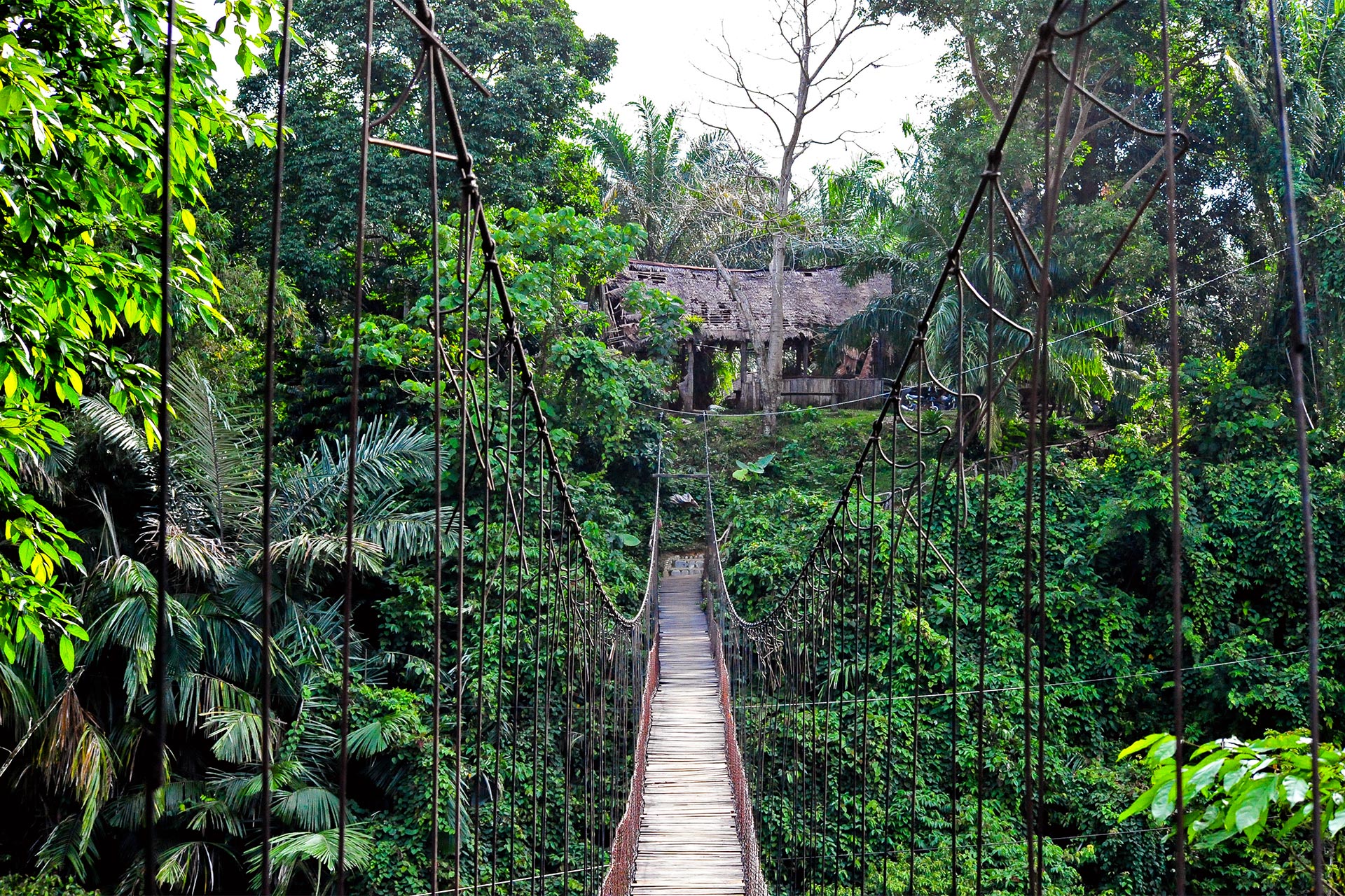 Adventure Sumatra