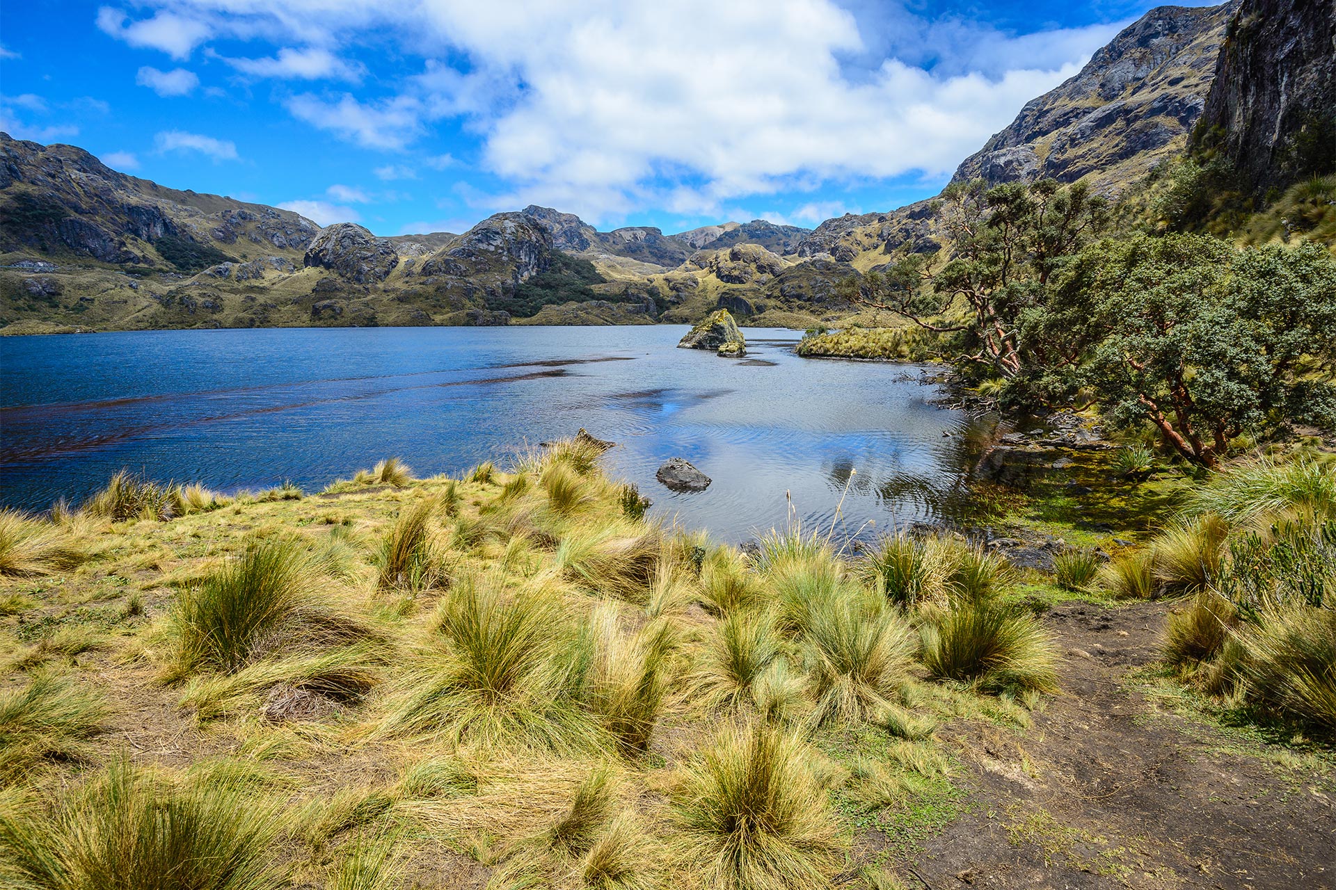 Highlights Peru, Ecuador & Galapagos