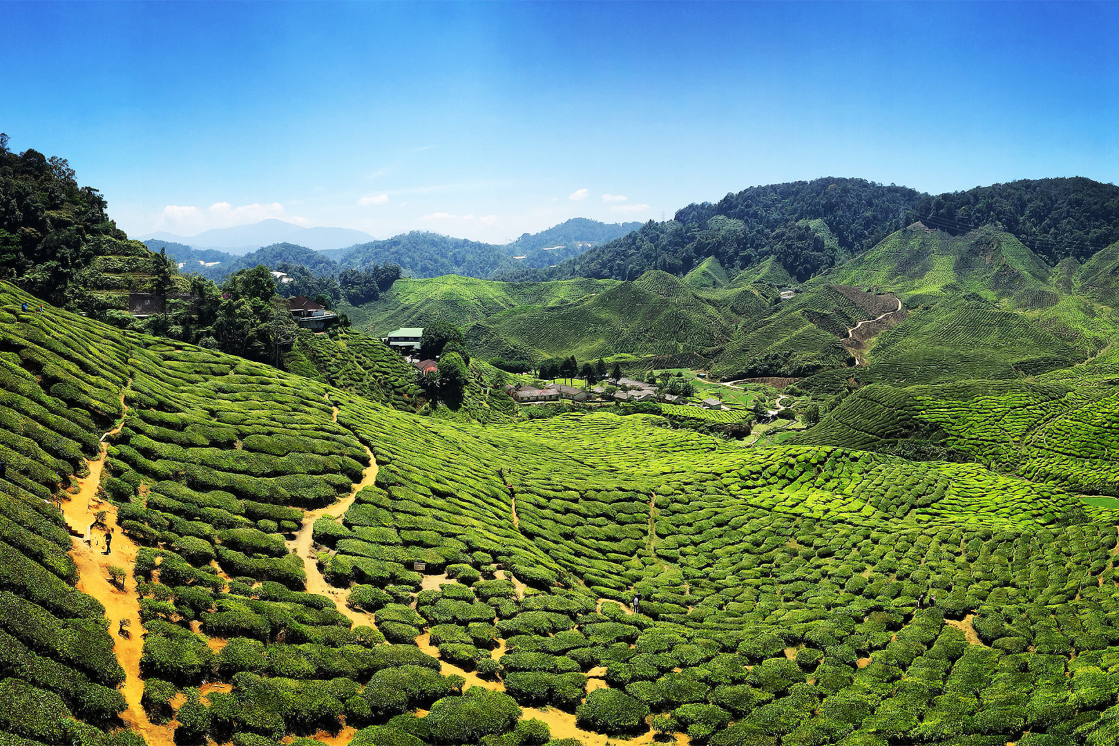 Flavours of Malaysia, Vietnam & Cambodgia