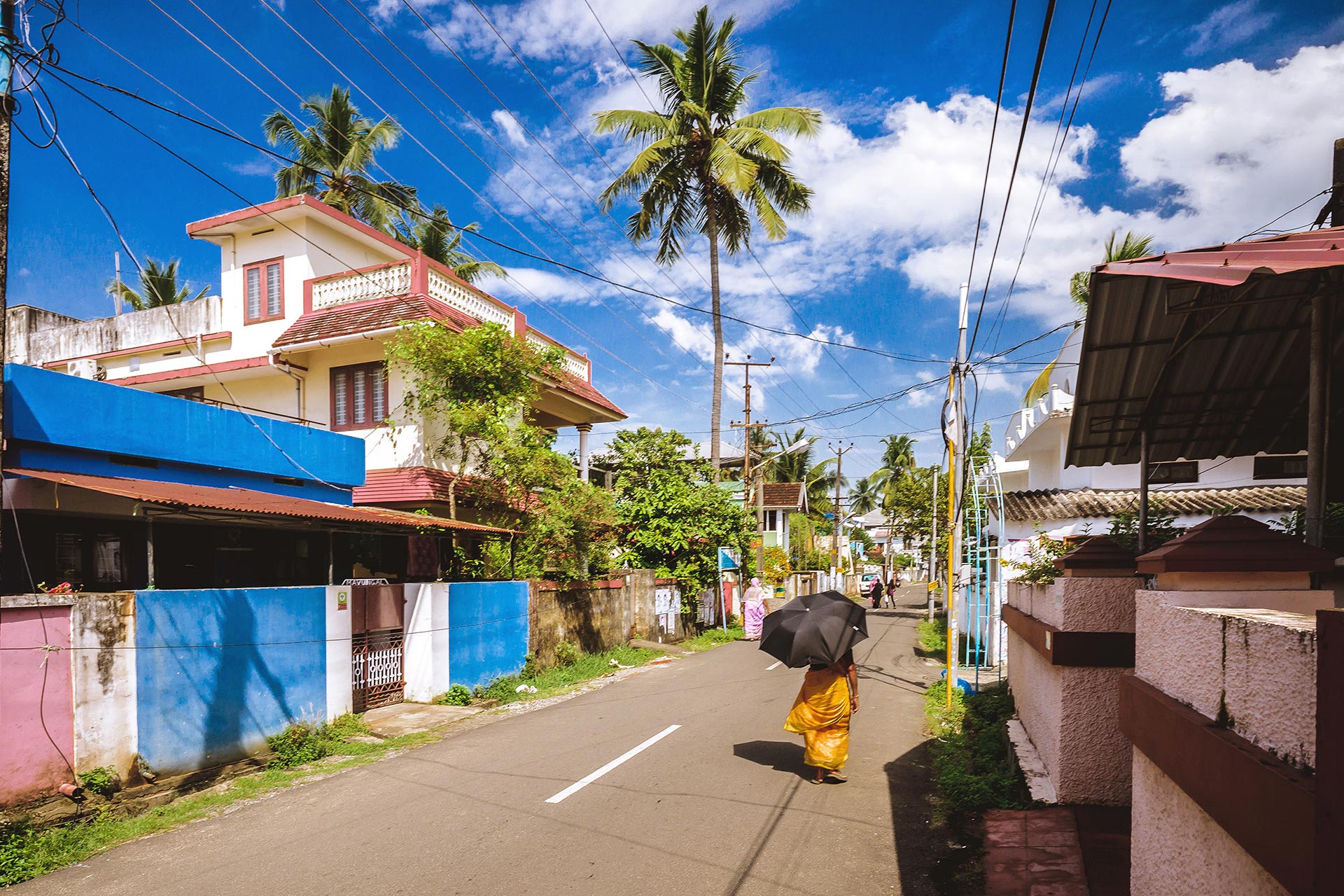 Share a trip - Taramul zeilor, Kerala, India, octombrie 2026