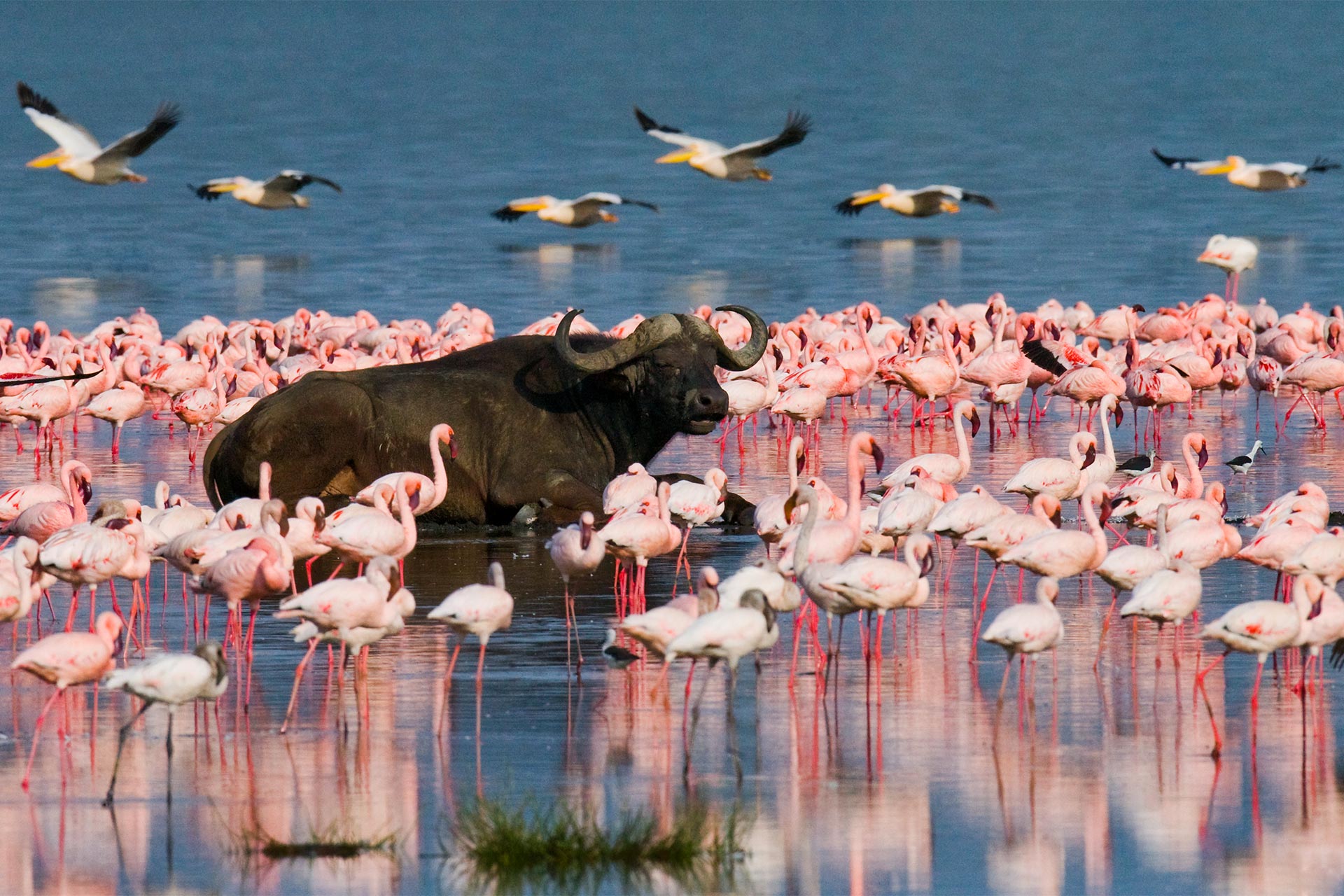 Highlights Kenya & Tanzania