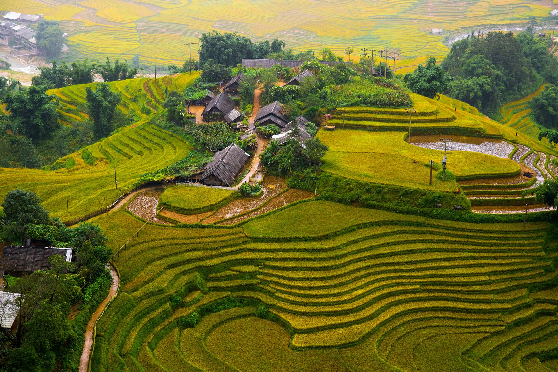 Vietnam in Depth