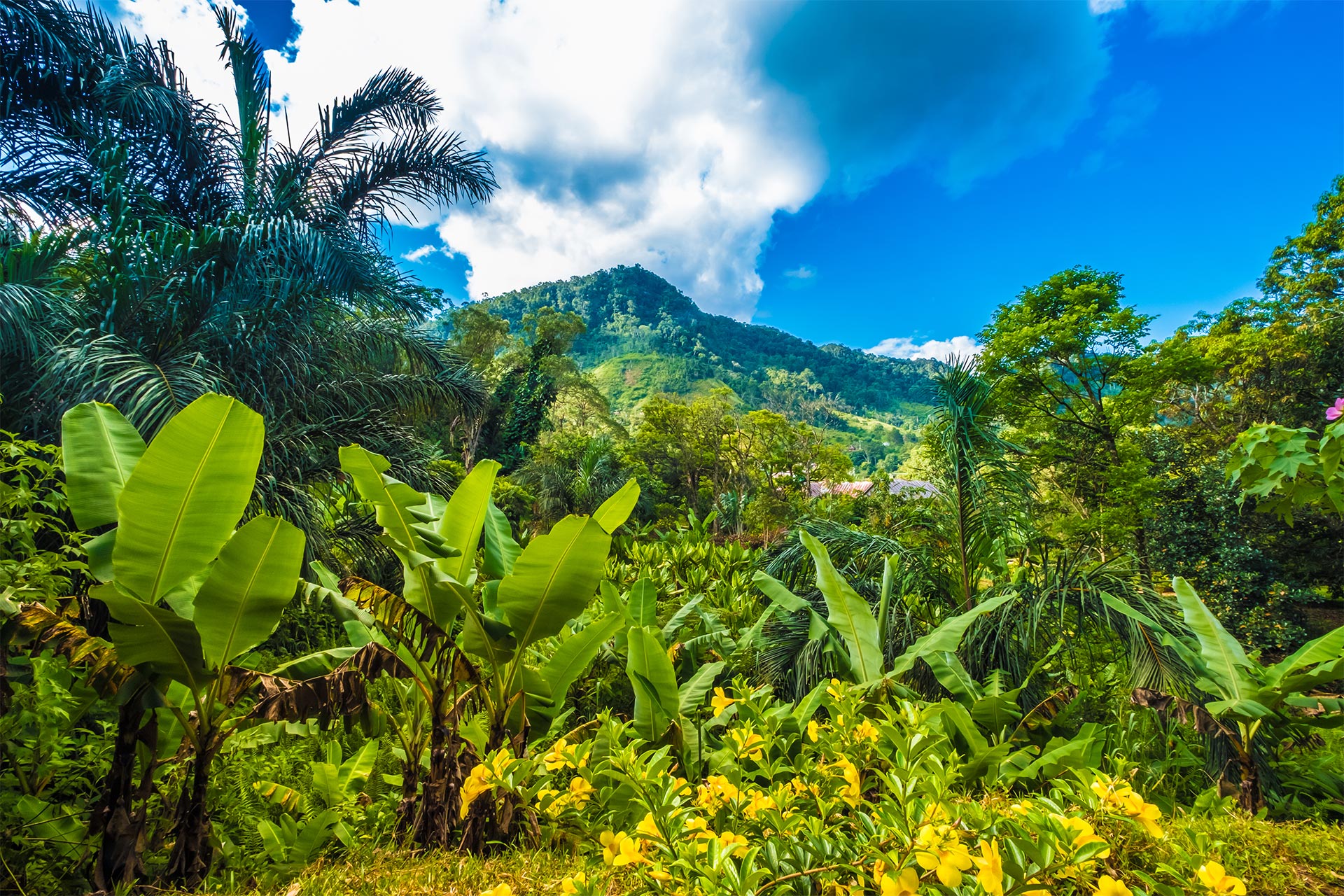Best of Madagascar