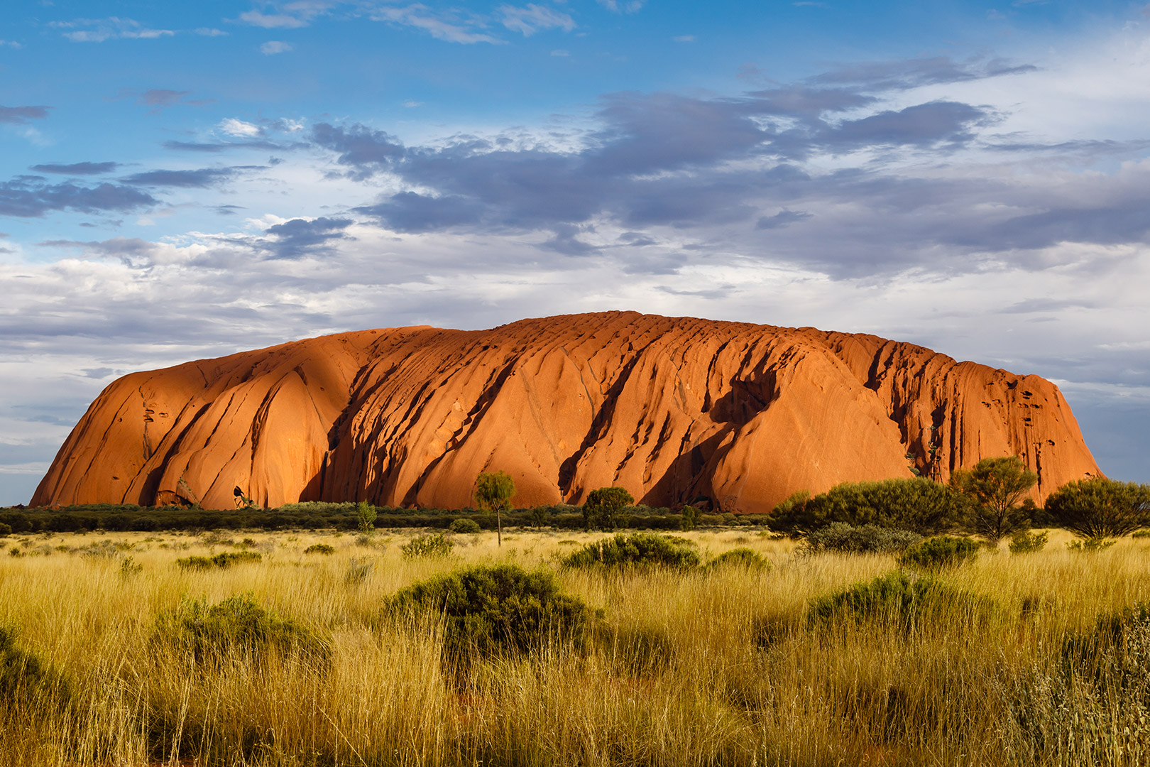 Highlights Australia