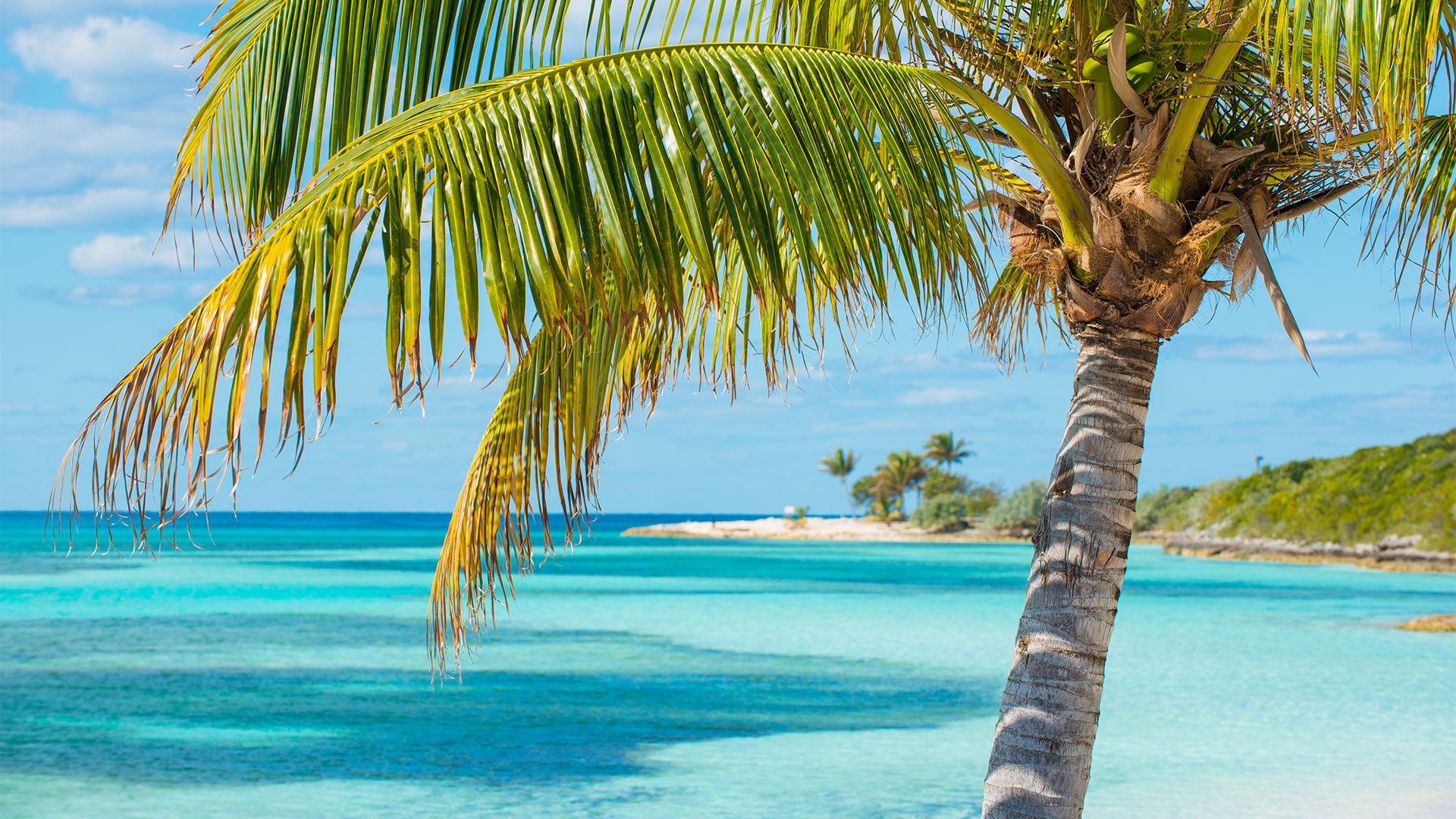 Valentine's day - Sejur Miami & Croaziera Caraibe, Legend of the Seas, 12 zile, februarie 2027