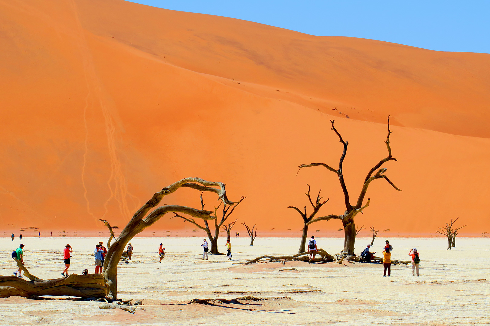 Circuit de grup - Experience Namibia, 14 zile - februarie 2027