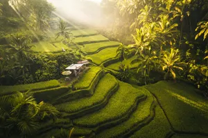 Explore Bali & Lombok, Indonezia, 11 zile - iulie 2026