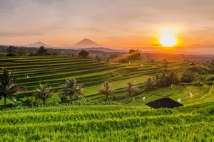 Craciun 2026 & Revelion 2027 - Circuit Kuala Lumpur, Ubud & plaja Bali, 14 zile