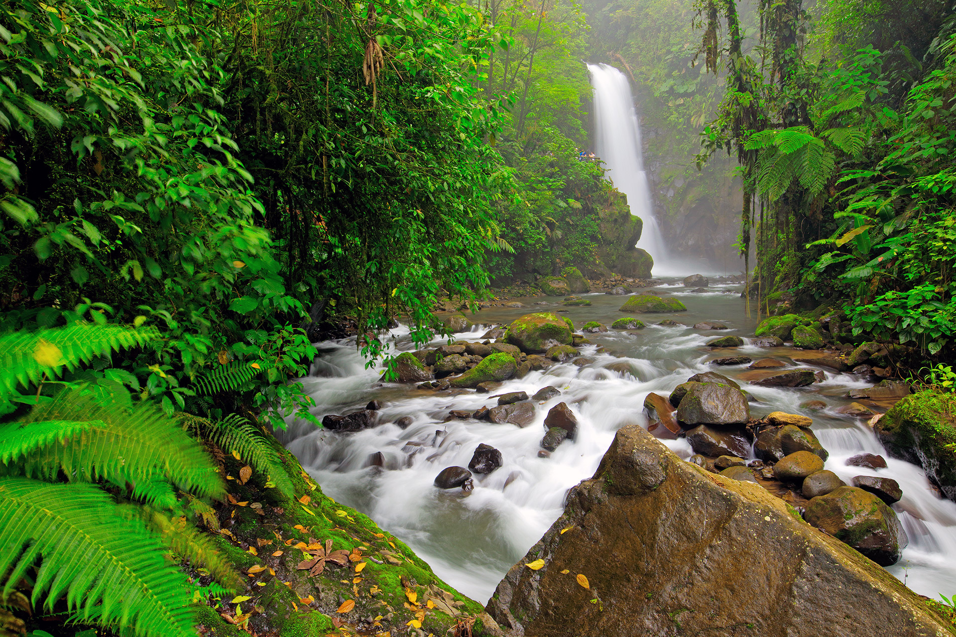 Discover Costa Rica & Columbia, 16 zile