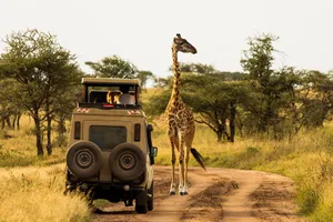 Share a Trip - Safari Tanzania & plaja Zanzibar, 10 zile - octombrie 2026