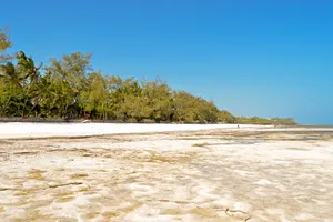 Sejur plaja Bamburi Beach, charter Kenya, ianuarie 2027