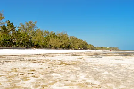 Sejur plaja Bamburi Beach, charter Kenya, ianuarie 2027
