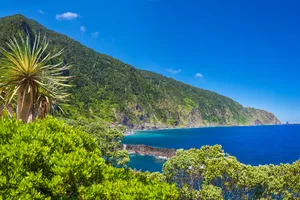 Sejur charter Madeira, Portugalia, 8 zile - 17 iunie 2026 - ultimele locuri disponibile
