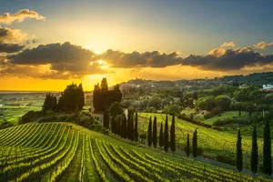 Circuit de grup - Essential Toscana, Italia, 8 zile - octombrie 2026