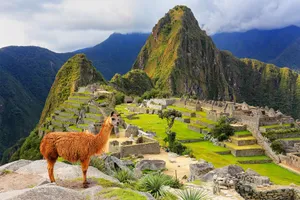 Circuit de grup - Family Experience in Peru, 16 zile - august 2026