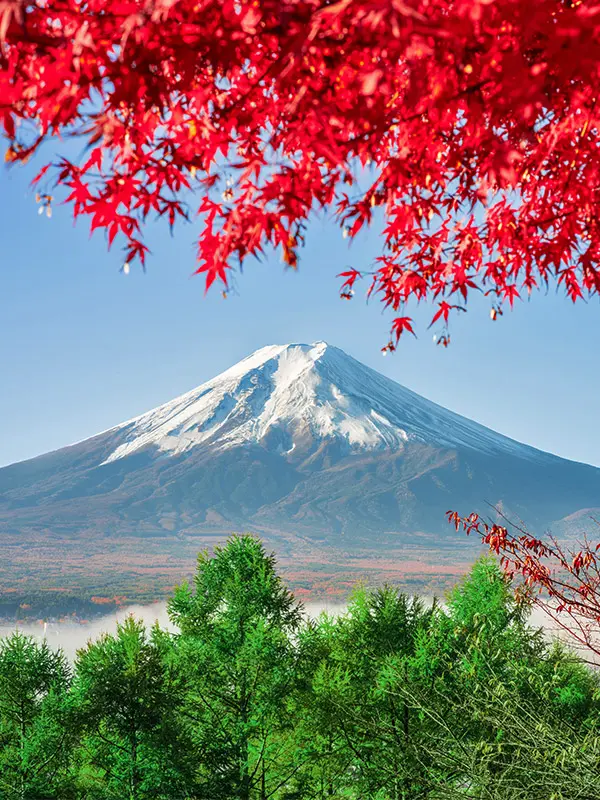 Am creat programe pentru tine